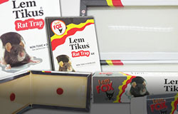 Rat Glue