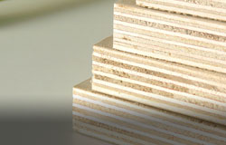 Plywood